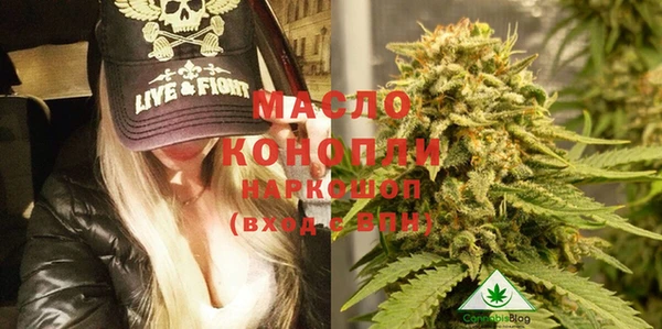spice Гусев