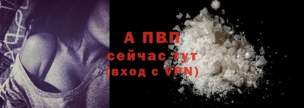 spice Гусев
