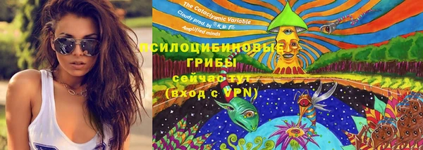 метадон Гусь-Хрустальный