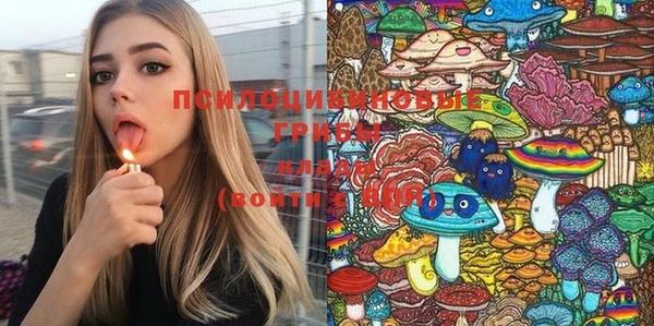 spice Гусев
