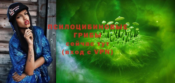 spice Гусев