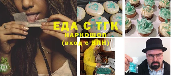 spice Гусев