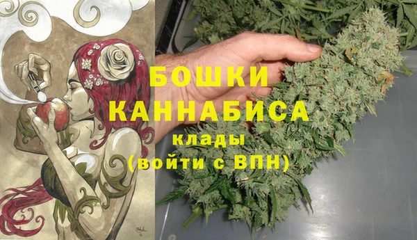 метадон Гусь-Хрустальный
