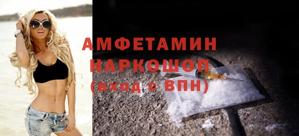 spice Гусев